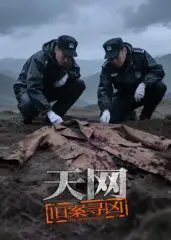 《天网：旧案寻凶》：跨越时空的电子警察，数字洪流中的人性审判！