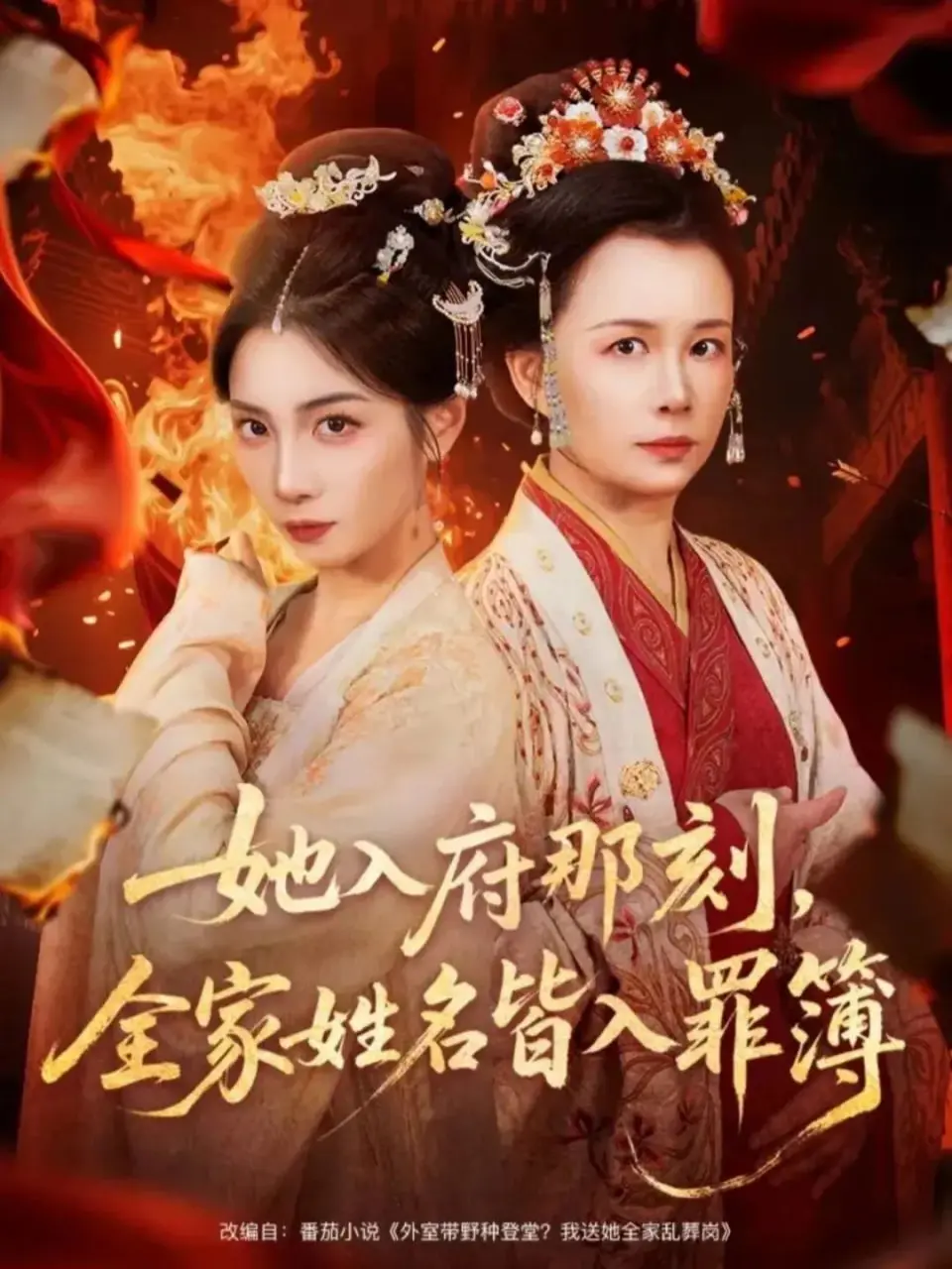 《她入府那刻，全家姓名皆入罪簿》：不是吧！这么狗血的家庭伦理剧情，看得我抓狂！