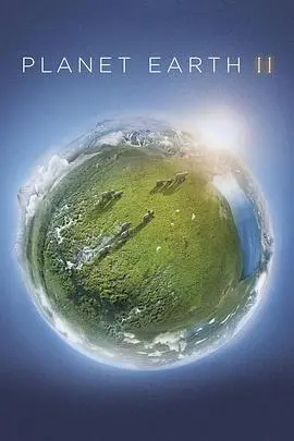 《地球脉动 第二季》：穿越绝美自然奇观，感受生命的壮丽与脆弱